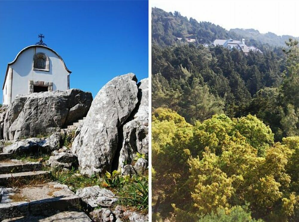 Фото Elafos Hotel