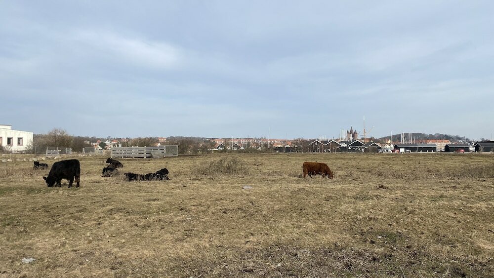 Фото Danhostel Kalundborg