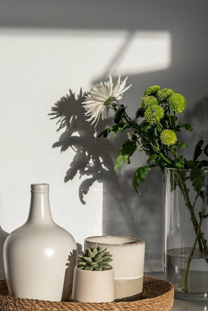 Фото Cocoon Suites