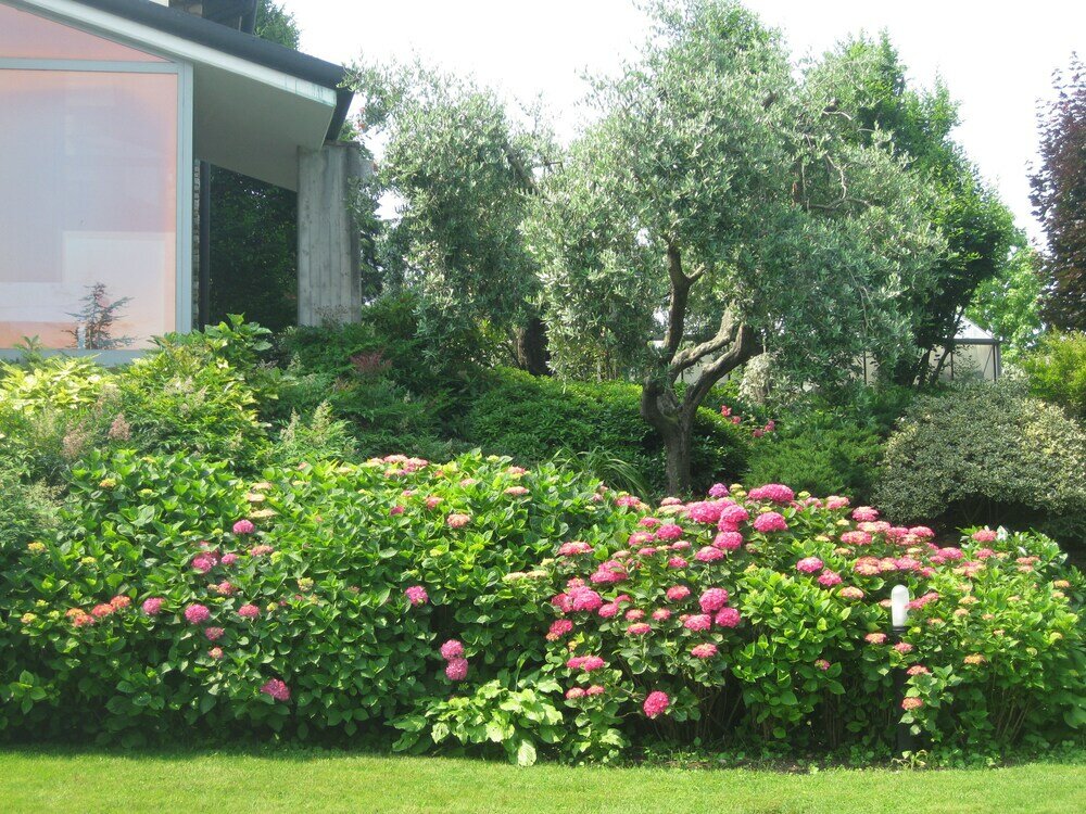 Фото B&b Villa Adriano