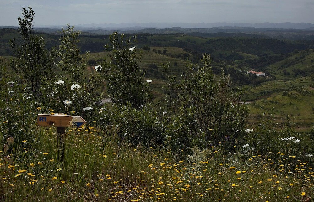 Фото Quinta do Chocalhinho