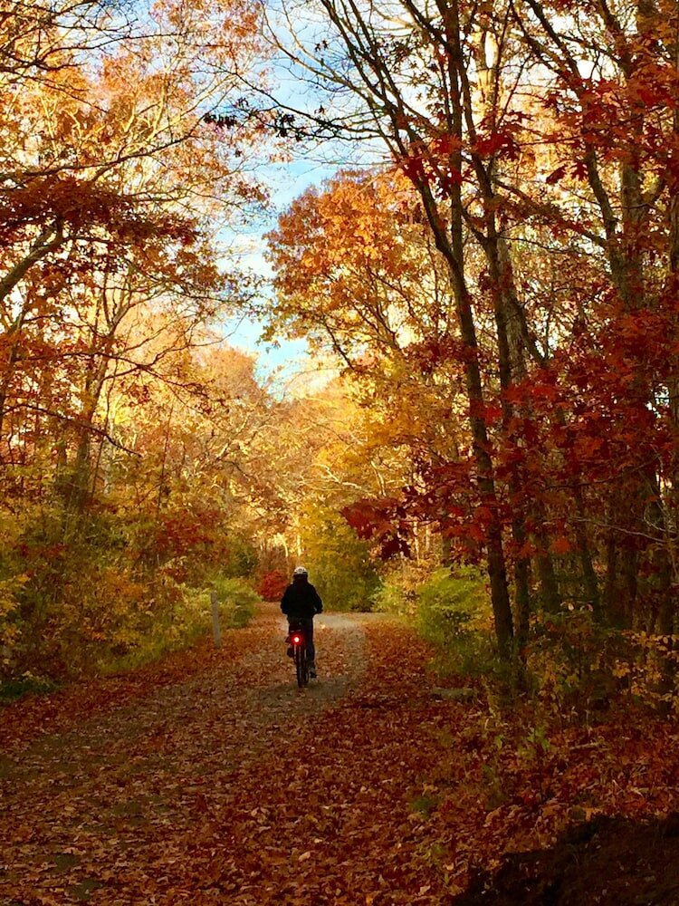 Фото Frederick William House