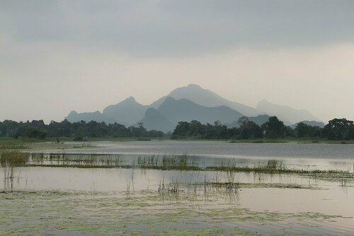 Внешний вид отеля Hotel Wewa Addara в Сигирии, фото 5