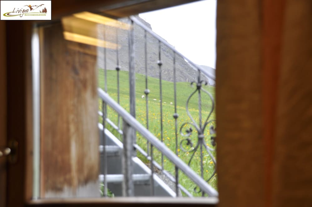 Фото Appartamenti Green