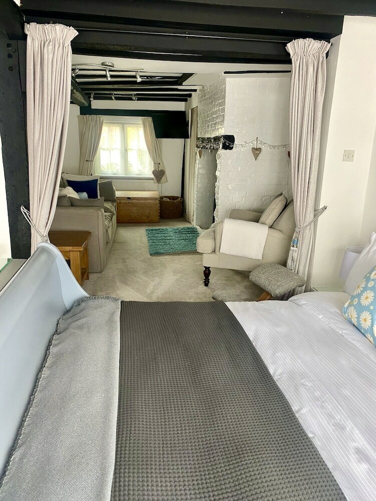 Фото Chestnut Tree