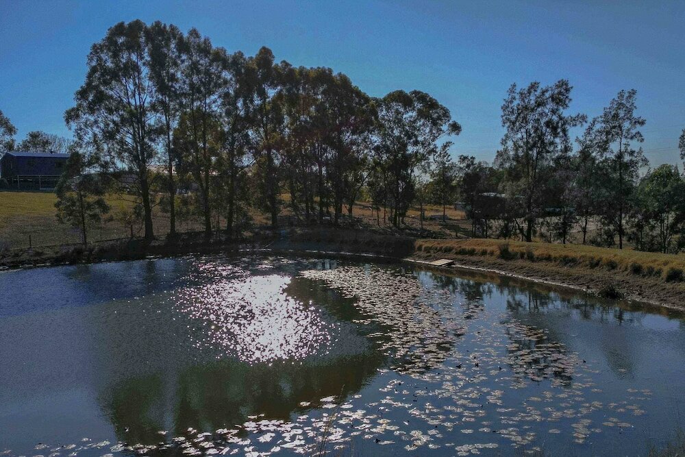 Фото Blueberry Hills On Comleroy