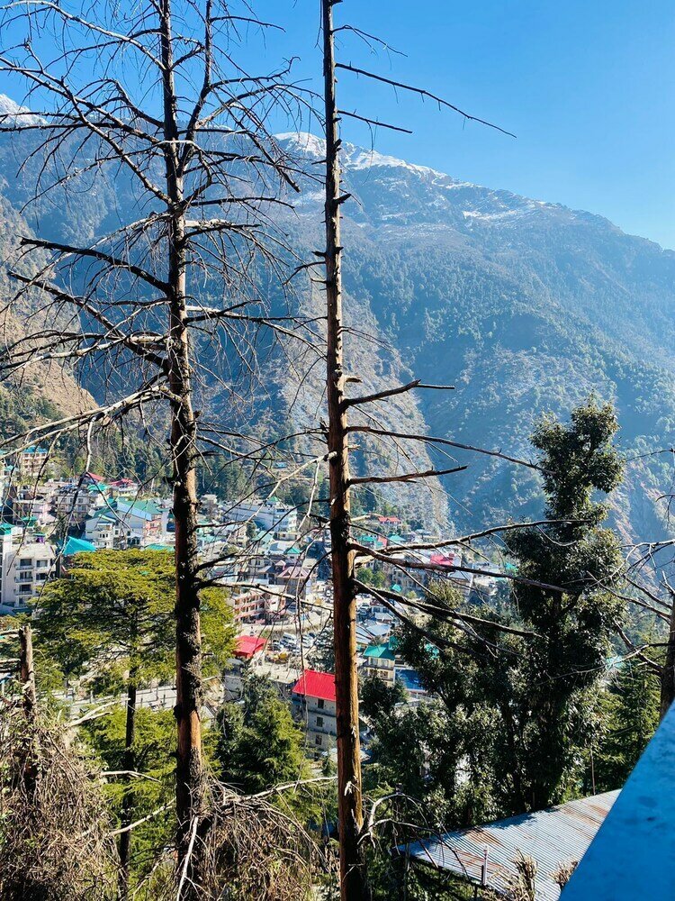 Фото Hostel Hikers World