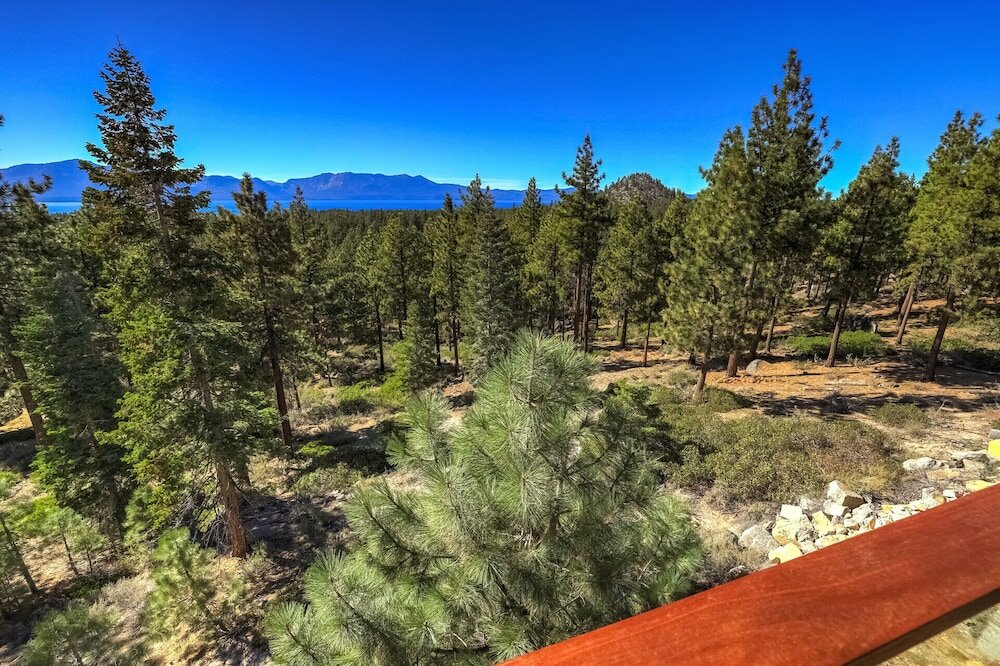 Фото Bear Claw Estate