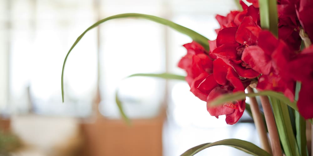 Фото Chloe Hotel