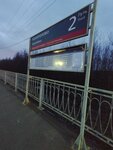 Kapitolovo Station (Leningrad Region, Vsevolozhckiy DIstrict, Bugrovskoye gorodskoye poseleniye) ، محطة القطار