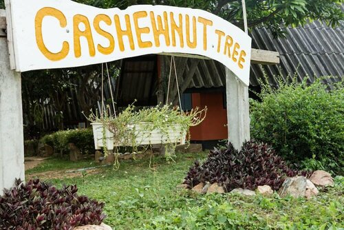 Гостиница Cashewnut Tree Bungalows