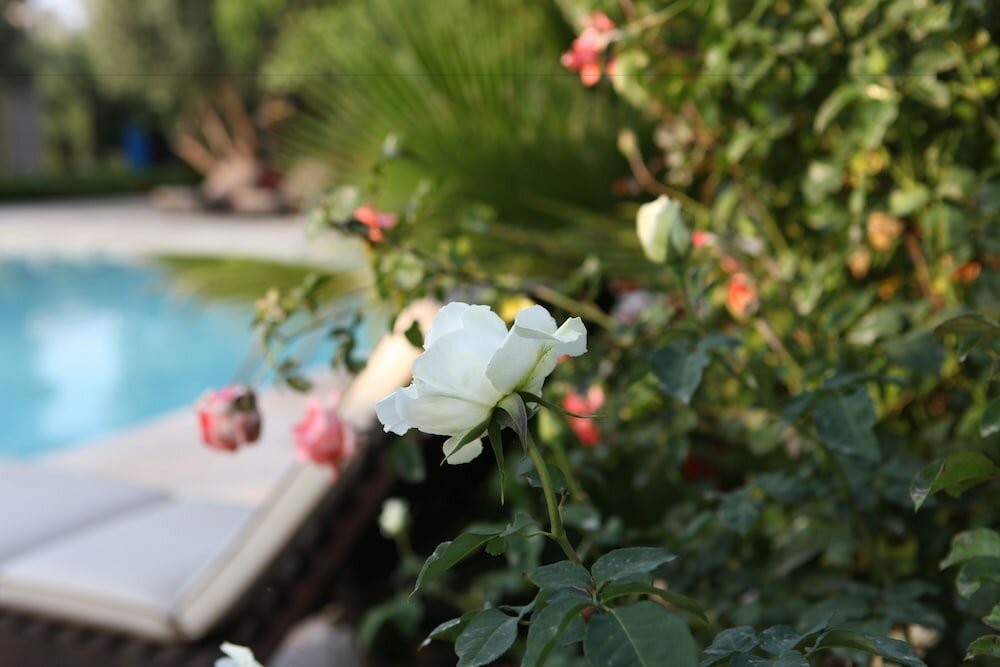 Фото Riad Clé De Sol