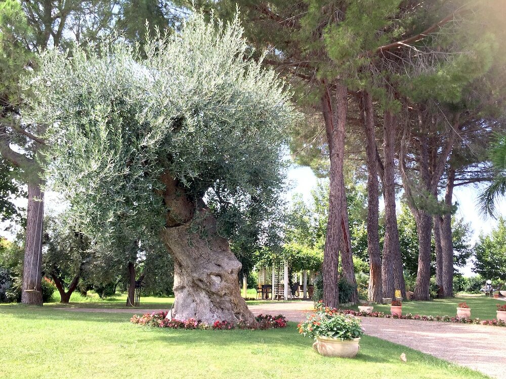 Фото Agriturismo La Stornara