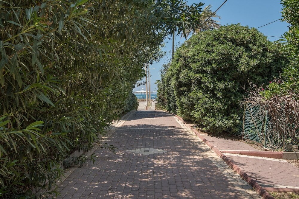 Фото Palm on the Beach