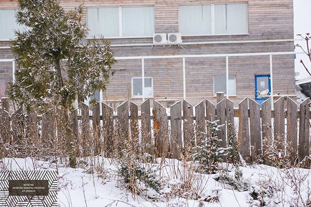 Фото 33 Пушкина