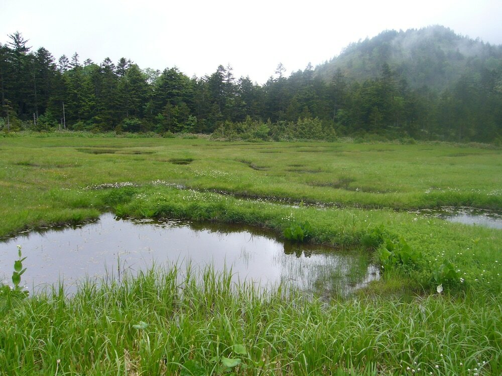 Фото Charade Inn Shiga