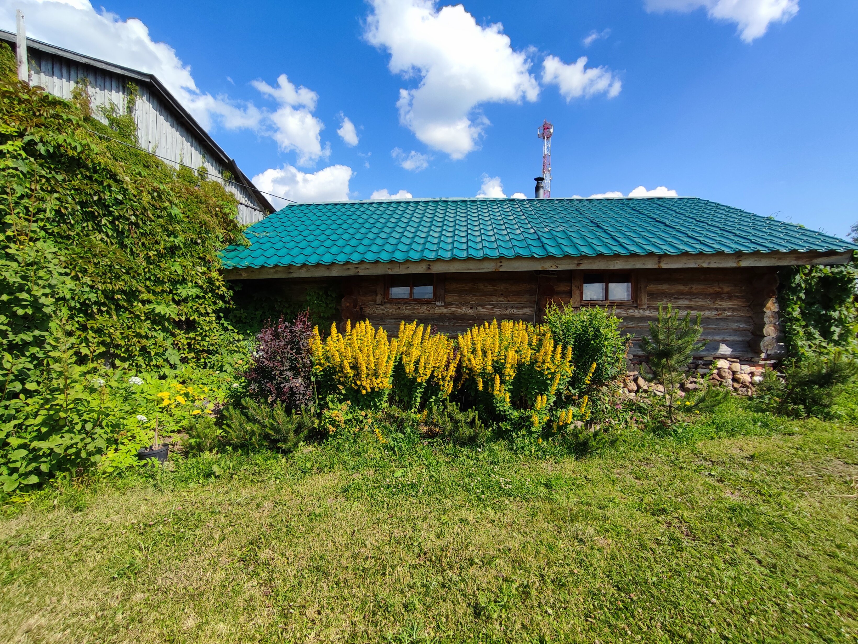 Фото 33 Пушкина