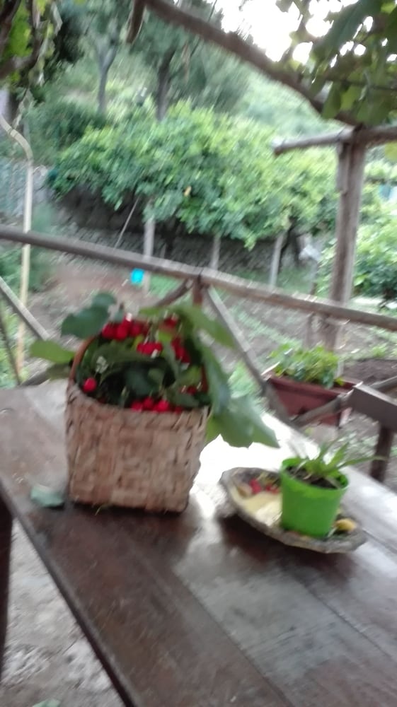 Фото Agriturismo Mare e Monti