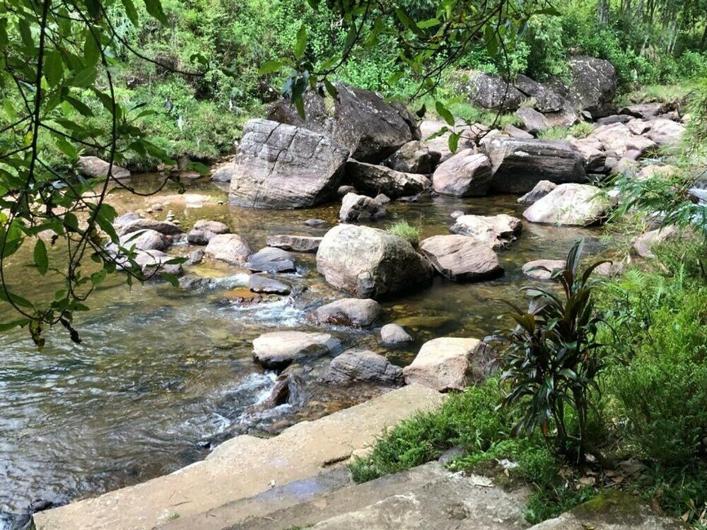 Фото White House Adam's Peak