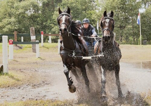 Гостиница Buitenplaats Erve Hulsbeek в Оверэйселе