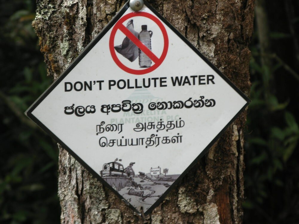 Фото White House Adam's Peak