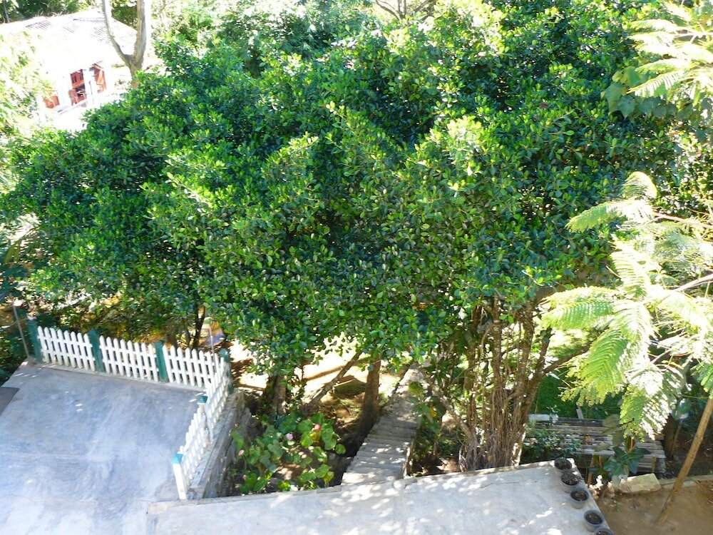 Фото White House Adam's Peak