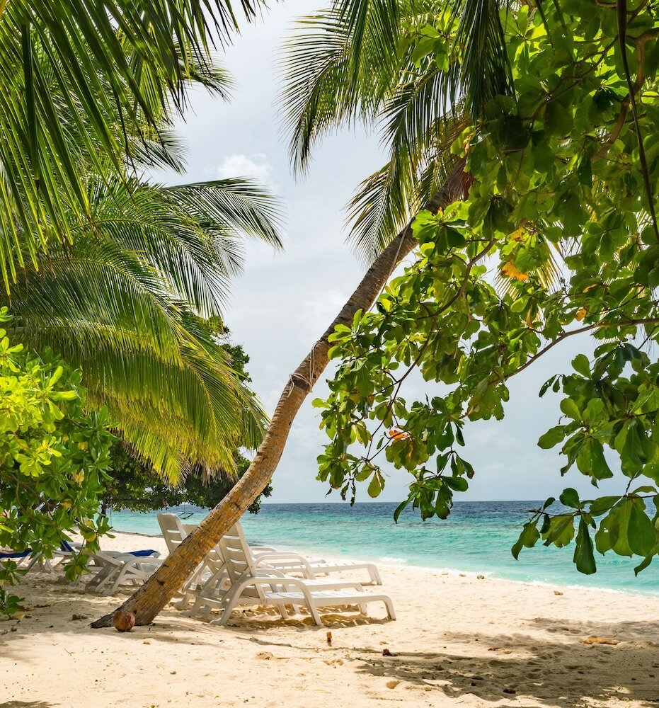 Фото Lvis Blancura