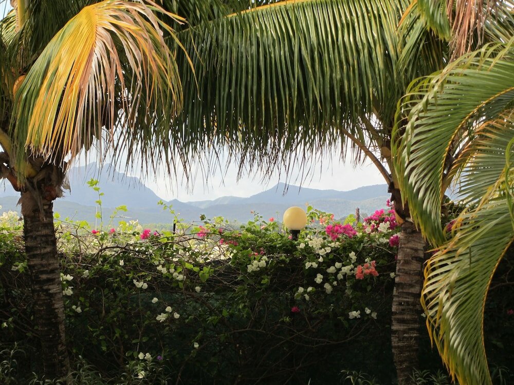 Фото Marisa Residences