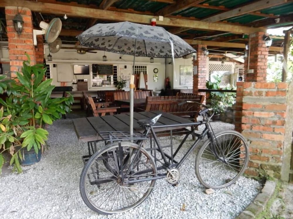 Фото The Roots Eco Resort