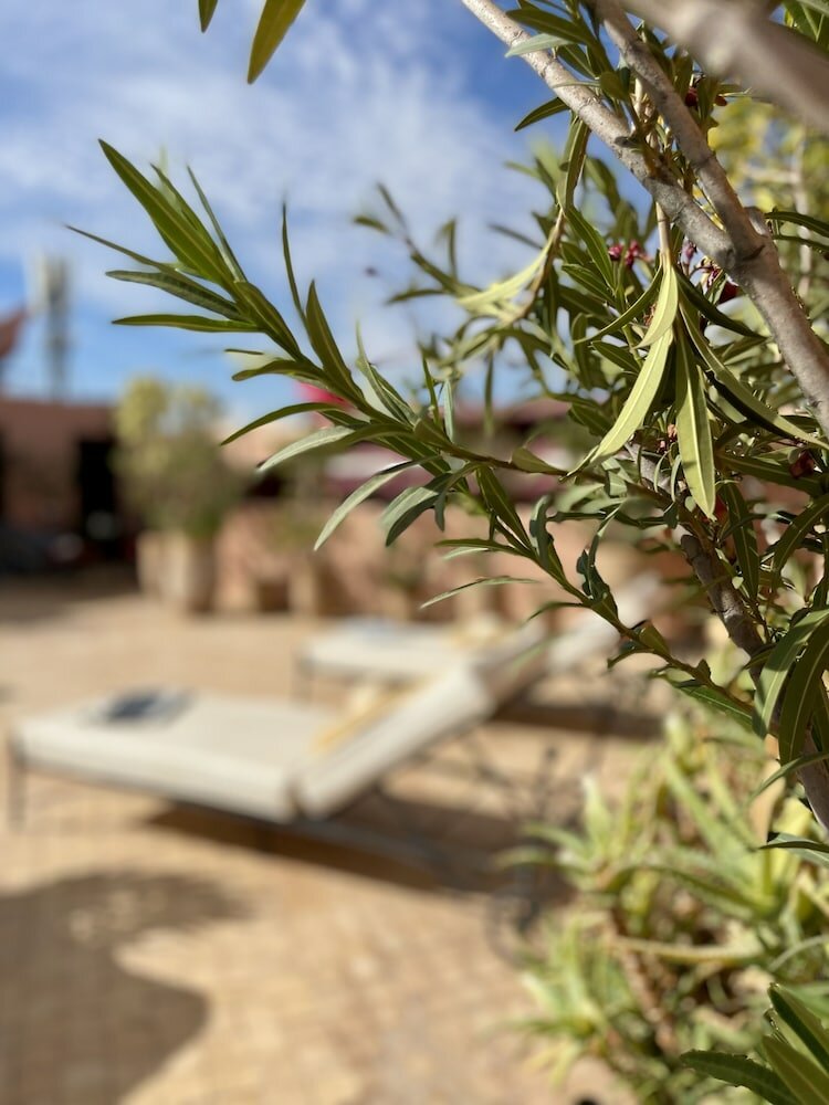 Фото Riad Dar Foundouk & SPA