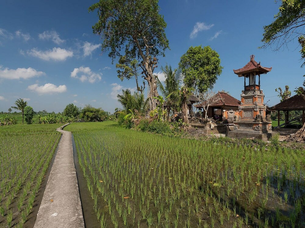 Фото Seseh Beach Villas