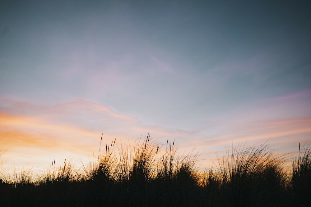 Фото Strandhotel