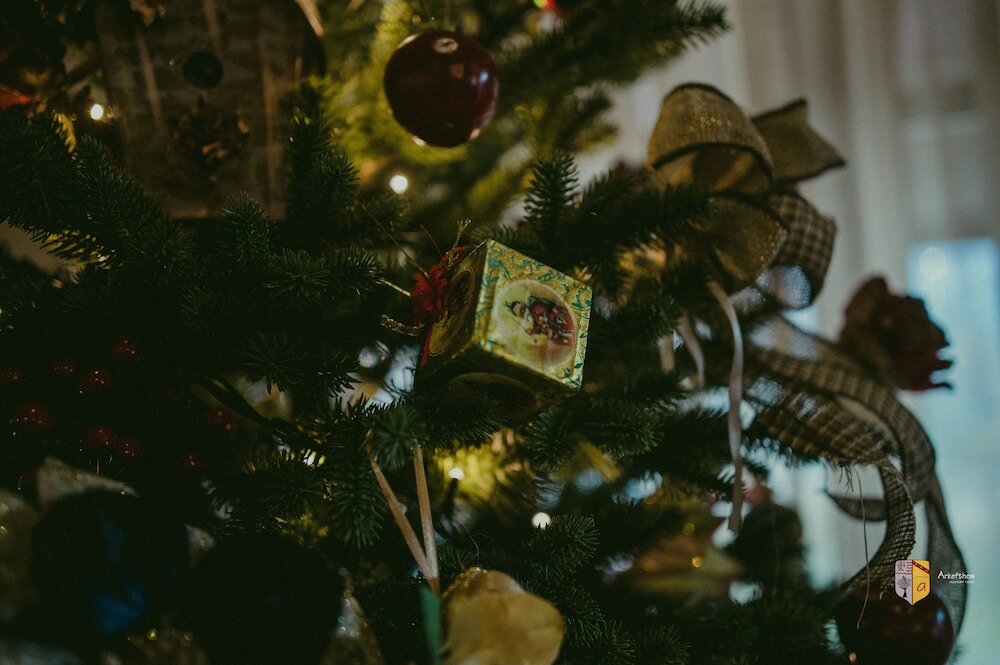 Фото Arkefthos Mountain Hotel