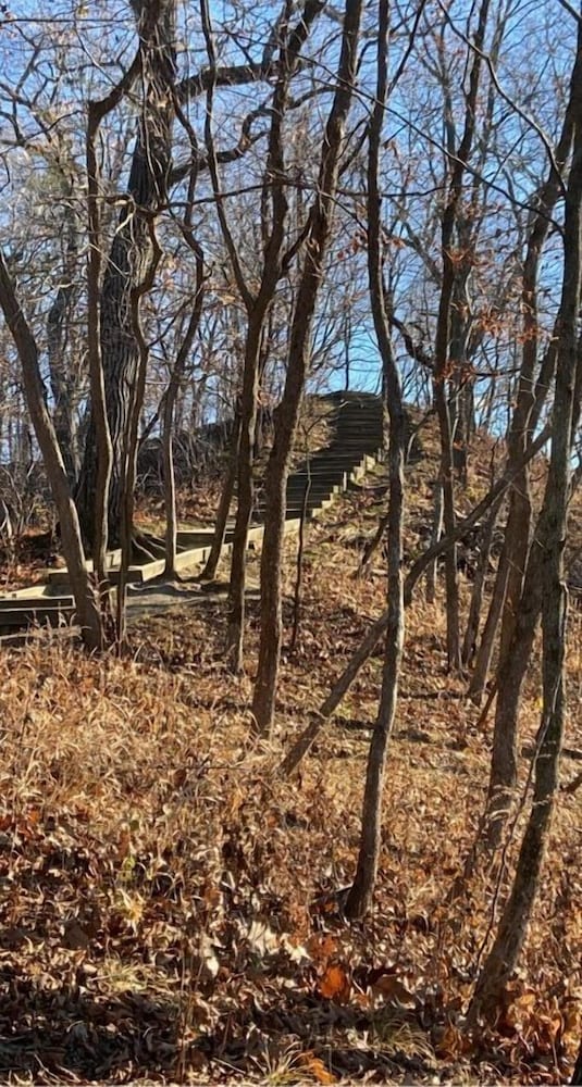 Фото Little Bluff Inn