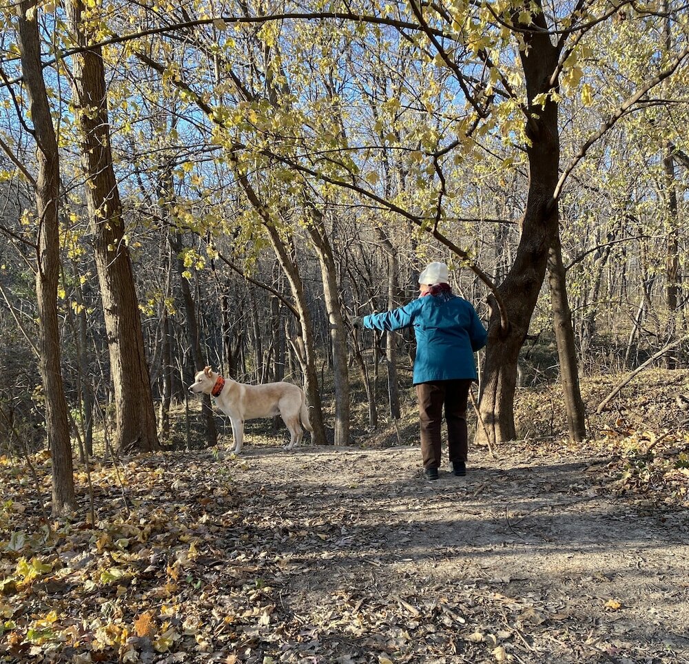 Фото Little Bluff Inn