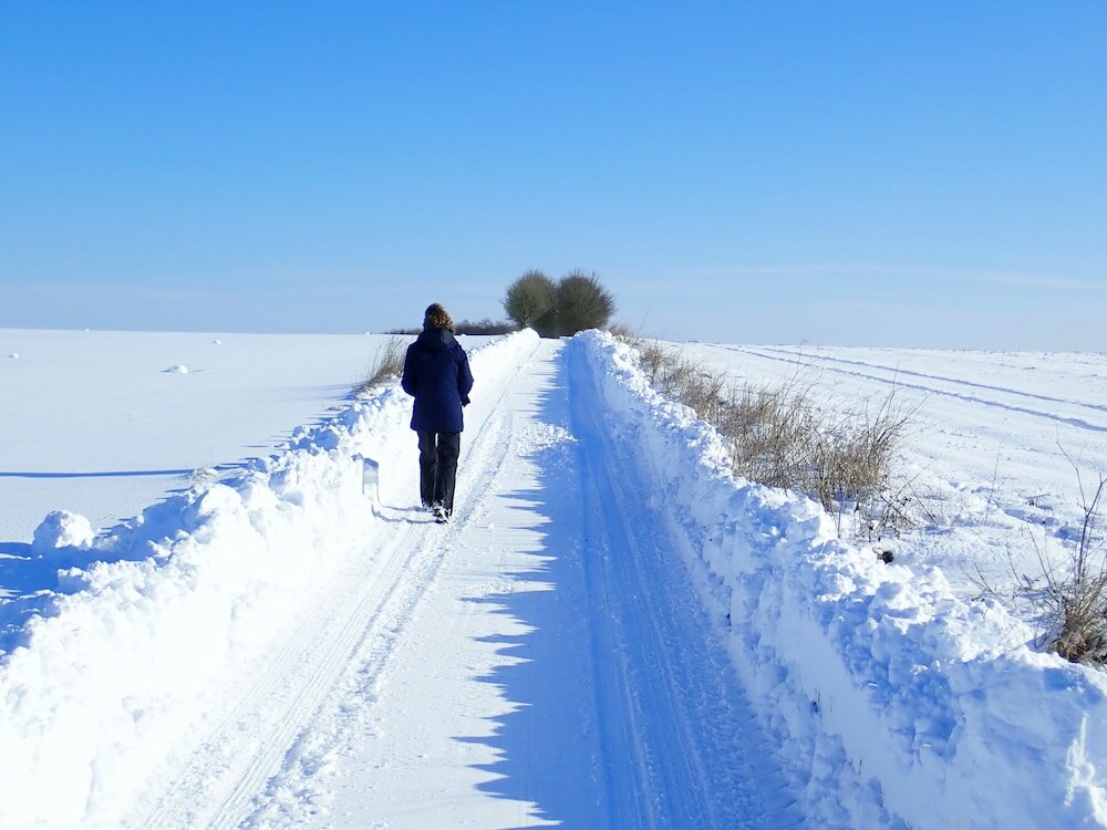 Фото Manor Farm B & B