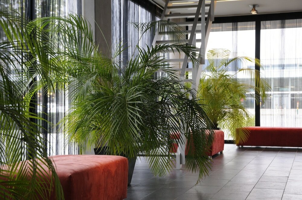 Фото Corbie Lommel