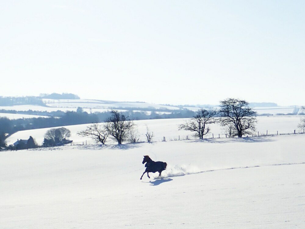 Фото Manor Farm B & B