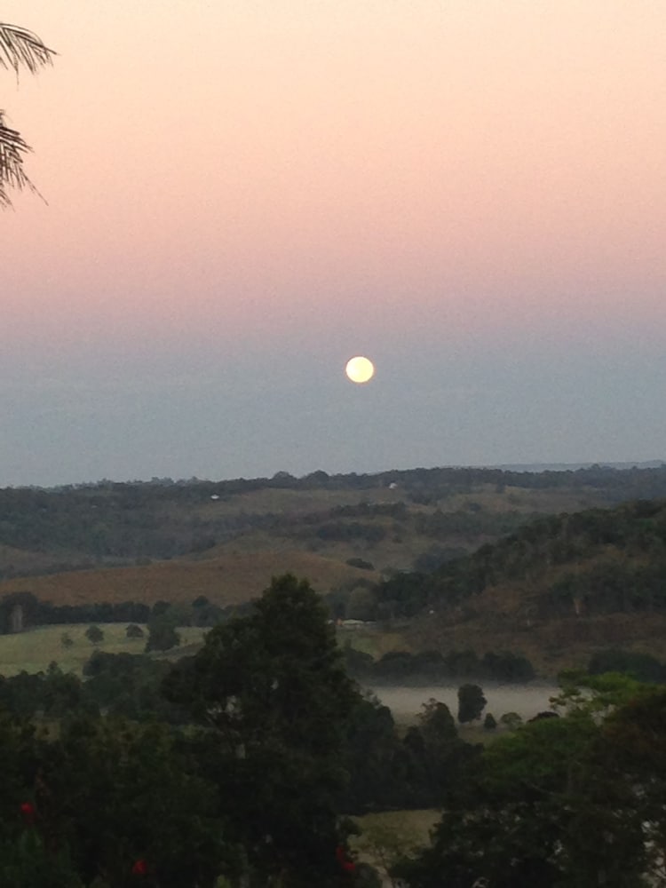 Фото Byron Hinterland Villas