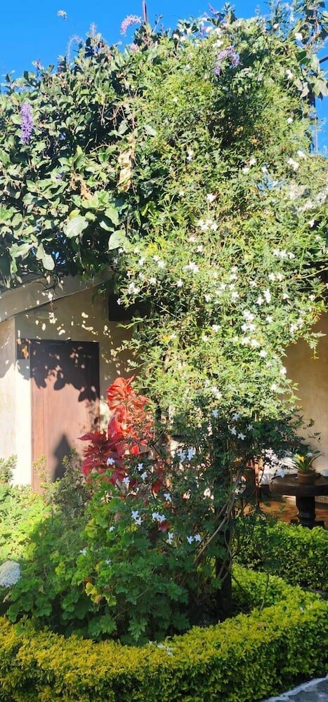 Фото Hotel Boutique Los Pasos & SPA