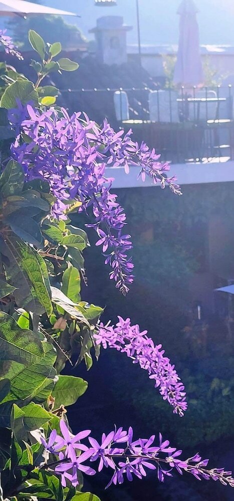 Фото Hotel Boutique Los Pasos & SPA