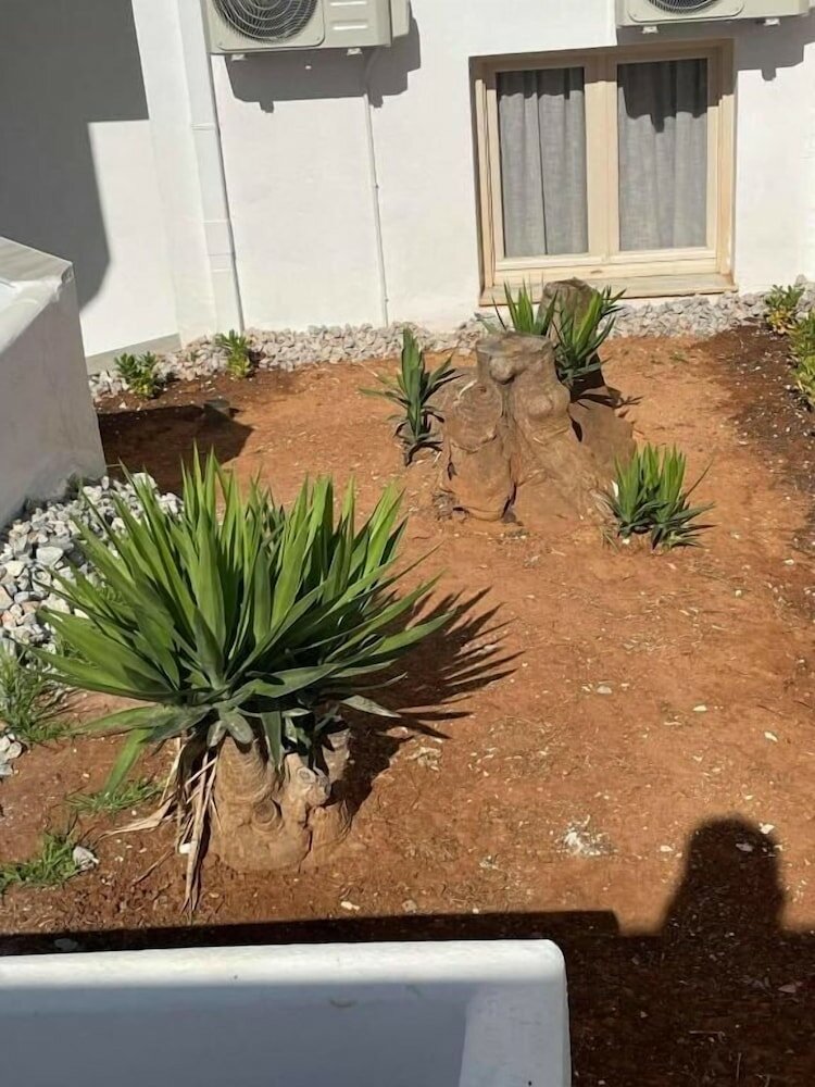 Фото Coralli Beach Hotel