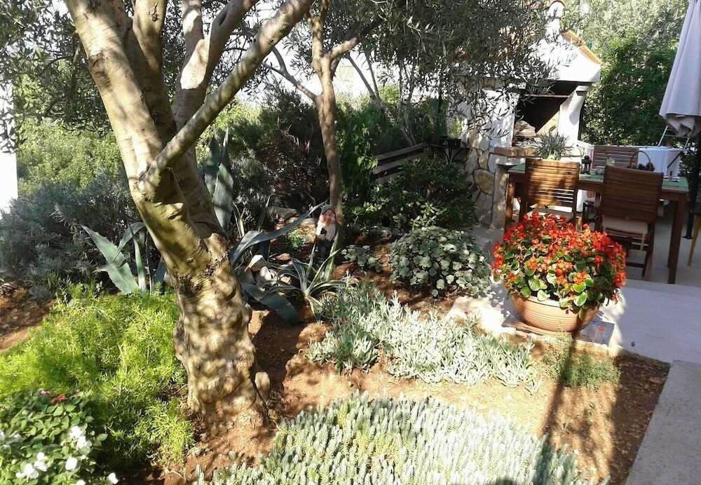 Фото Vlatko - 100 m From sea - A2