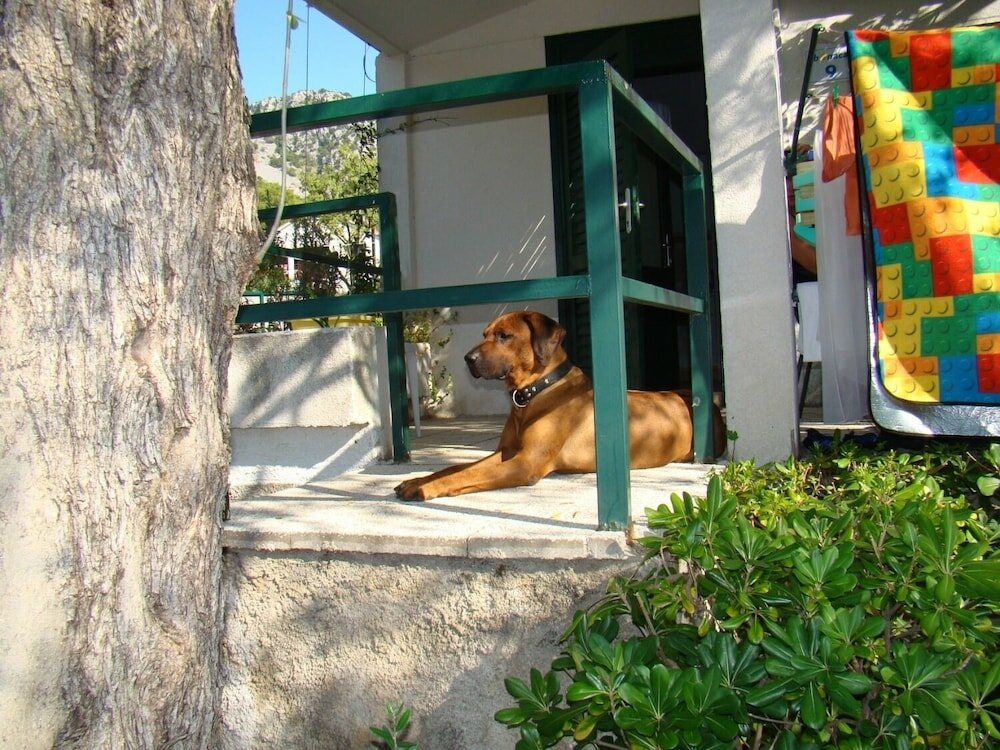 Фото Magic - 150 m From Beach - A3-orange