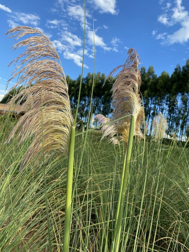 Фото Buganville Villas