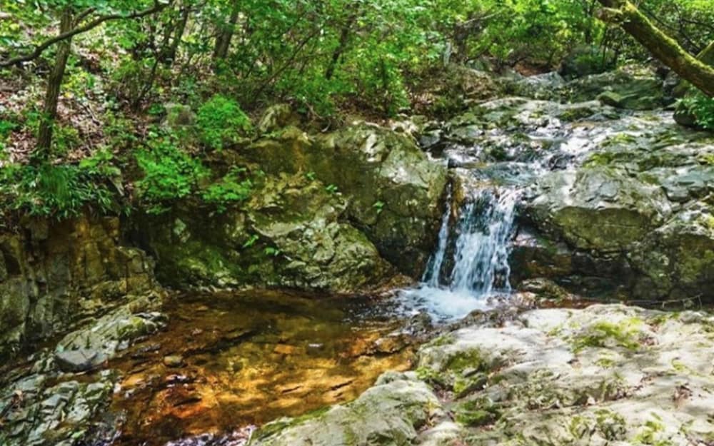 Фото Ulsan Daeunsan Pension