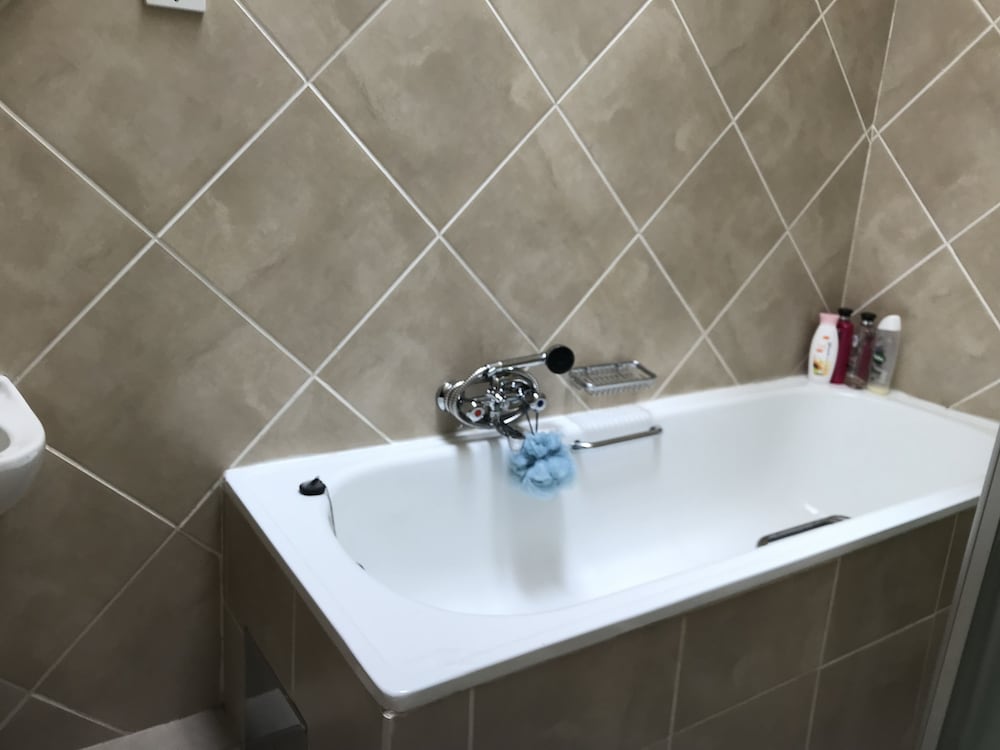 Фото Vintage Palm