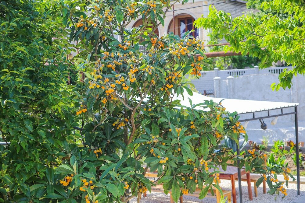 Фото House № 14