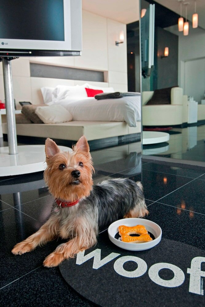 Фото W Mexico City