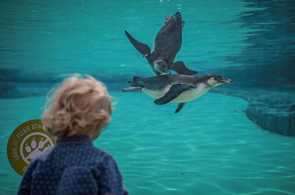 Фото Crowne Plaza Chester